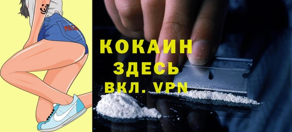PSILOCYBIN Корсаков