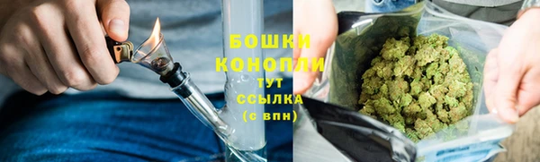 PSILOCYBIN Корсаков