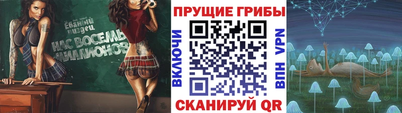 Купить закладки  Емва  Галлюциногенные грибы мухоморы 